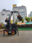 코닐