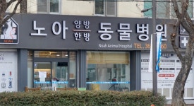 노아동물병원