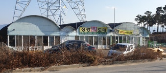 (주)성경도매마트 | 성경 난 도매