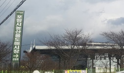 포항시농산물도매시장