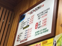 낙동생오리