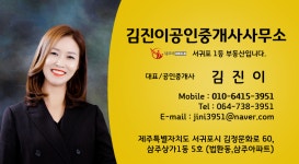 김진이 공인중개사 사무소