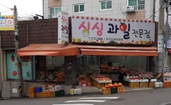 싱싱과일