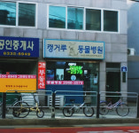 캥거루동물병원