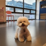 멍블리 용인동백점