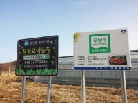 청정모아농장
