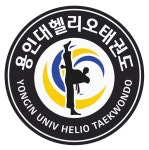 용인대 헬리오 태권도