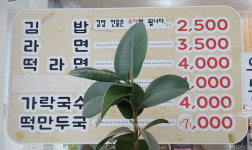 꾸꾸분식