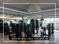 망고짐