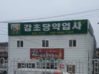 감초당약업사