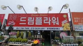 드림플라워