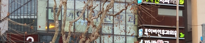 루카이비인후과의원