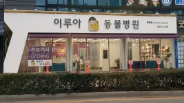 이루아동물병원