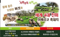 사랑가득 샤브&구이
