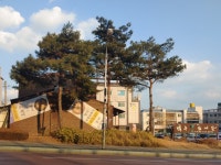 백송삼계탕 구미점