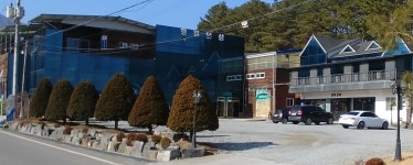 청정인삼