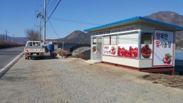 행복한딸기농장