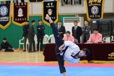 경희대송라태권도