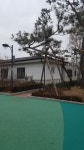대청경로당