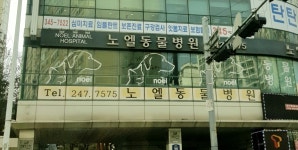 노엘동물병원