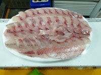 광어15000 서현수산