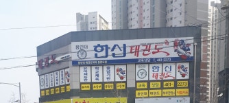 용인대한신태권도