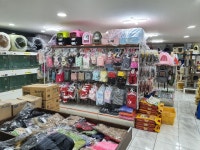 펫DC마트 강릉점