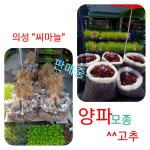 혁이네종묘