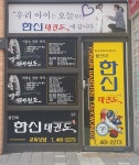 용인대한신태권도