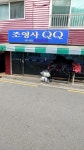 조영사 QQ