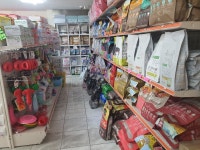 펫DC마트 강릉점