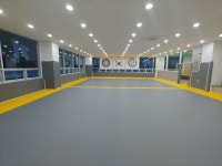 동명합기도