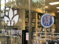 하나카동물병원
