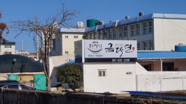 고흥금다연