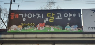 해강아지달고양이