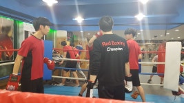 레드복싱클럽