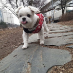 영심이살롱 곰곰이호텔