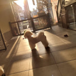 영심이살롱 곰곰이호텔