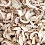 참좋은 표고버섯농장