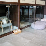 영심이살롱 곰곰이호텔