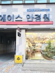 에이스안경원