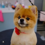 영심이살롱 곰곰이호텔