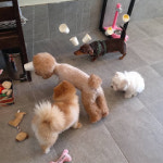 영심이살롱 곰곰이호텔