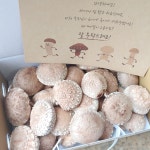 참좋은 표고버섯농장