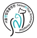 서울앤탑동물병원