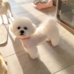 영심이살롱 곰곰이호텔