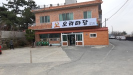오리마당