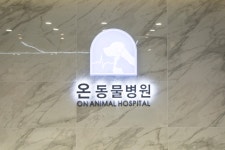 양주 온 동물병원