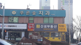 푸른솔치과의원