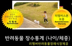리멤버 반려동물 장례식장